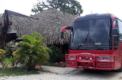 BUS FROM / TO LAS TERRENAS