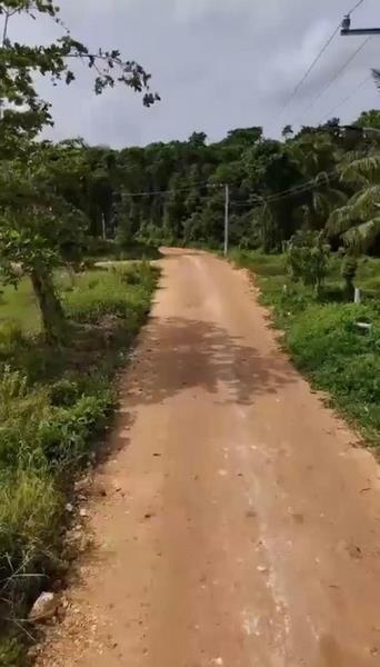 REF: VT 250501 LAND JUST A FEW STEP  OF PUNTA POPY