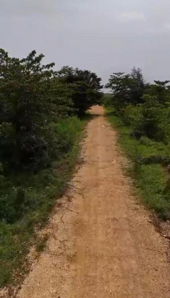 REF: VT 250501 LAND JUST A FEW STEP  OF PUNTA POPY