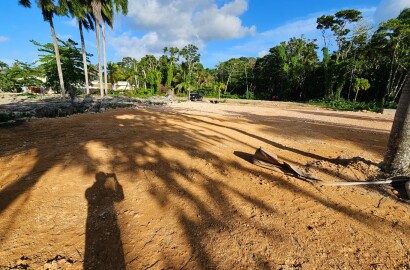 REF: VT250503 PLOT FOR SALE EN PLAYA BALLENAS