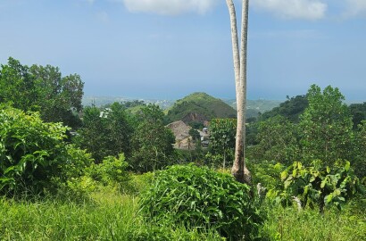 Réf: VT250612 PLOT FOR SALE OCEAN VIEW A 10 MINUTES FROM LAS TERRENAS