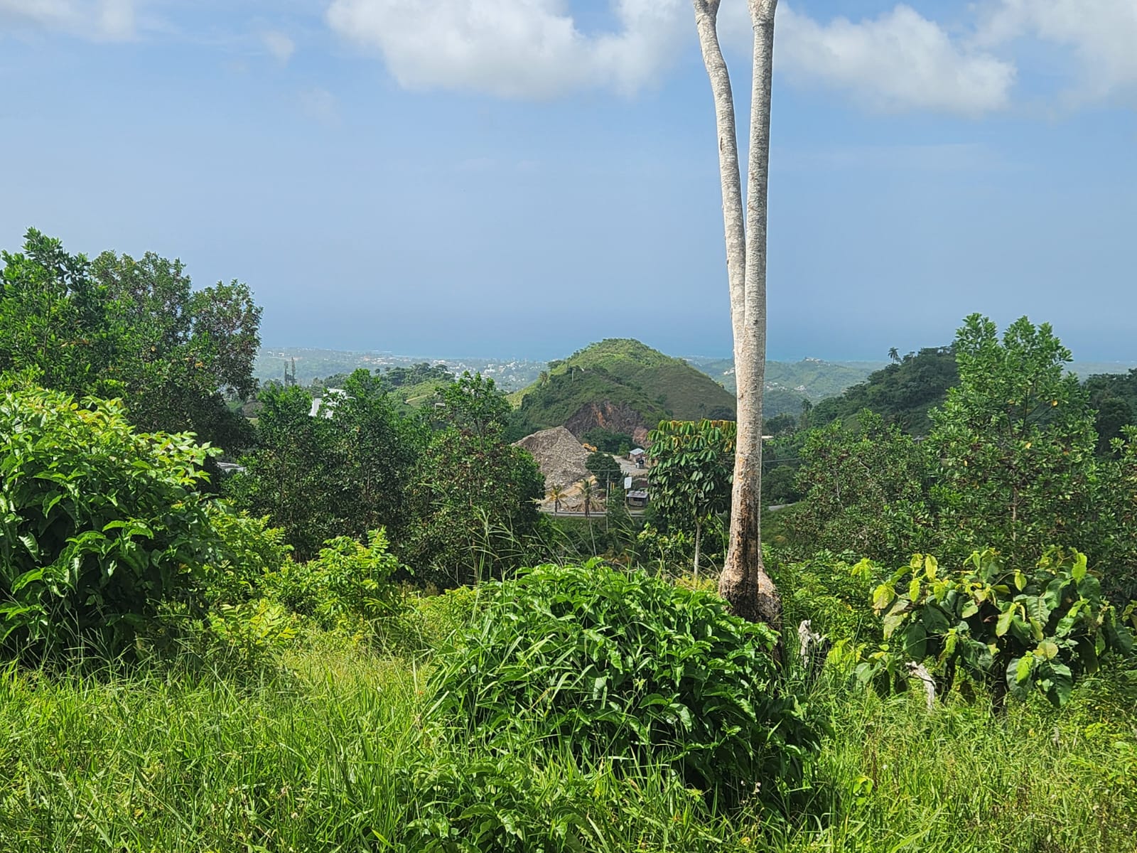Réf VT250611 PLOT AT 10 MINUTES FROM LAS TERRENAS WITH OCEAN VIEW