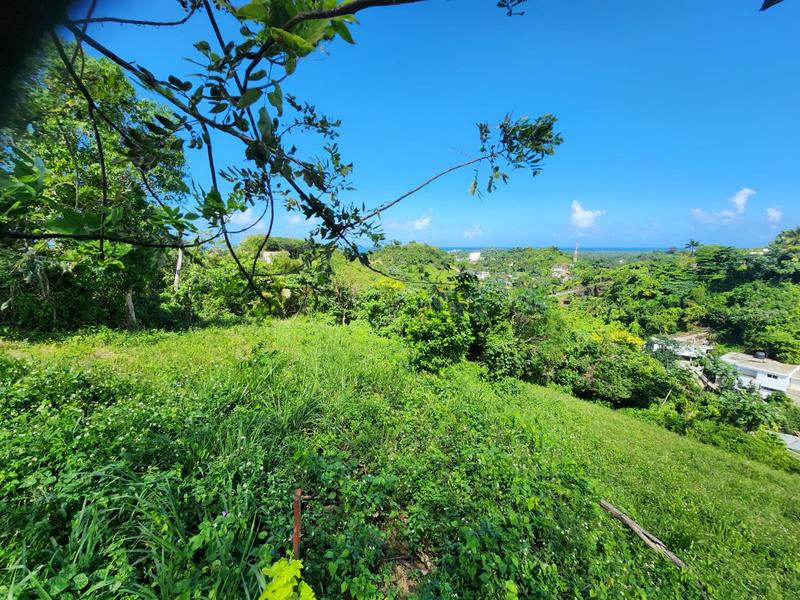 REF/250601 PLOT FOR SALE ON LOMA COSON OCEAN VIEW
