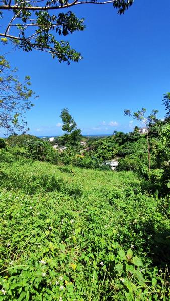 REF/250601 PLOT FOR SALE ON LOMA COSON OCEAN VIEW