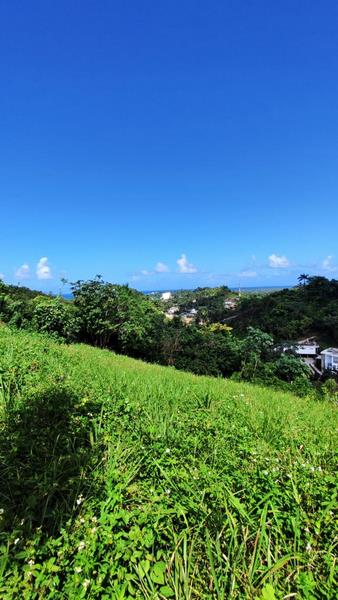 REF/250601 PLOT FOR SALE ON LOMA COSON OCEAN VIEW