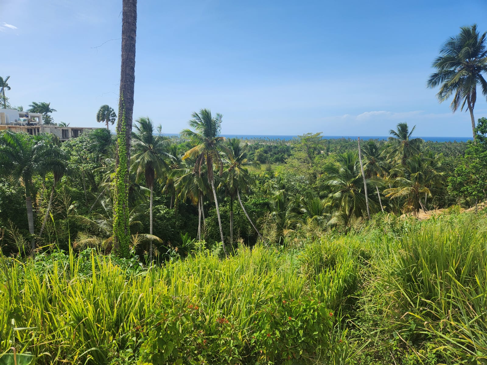 Réf: VT250625 LAND FOR SALE ON THE LOMA PORTILLO OCEAN VIEW