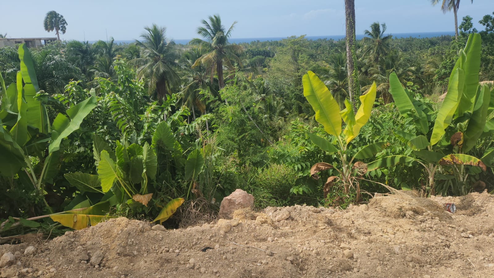 Réf: VT250625 LAND FOR SALE ON THE LOMA PORTILLO OCEAN VIEW