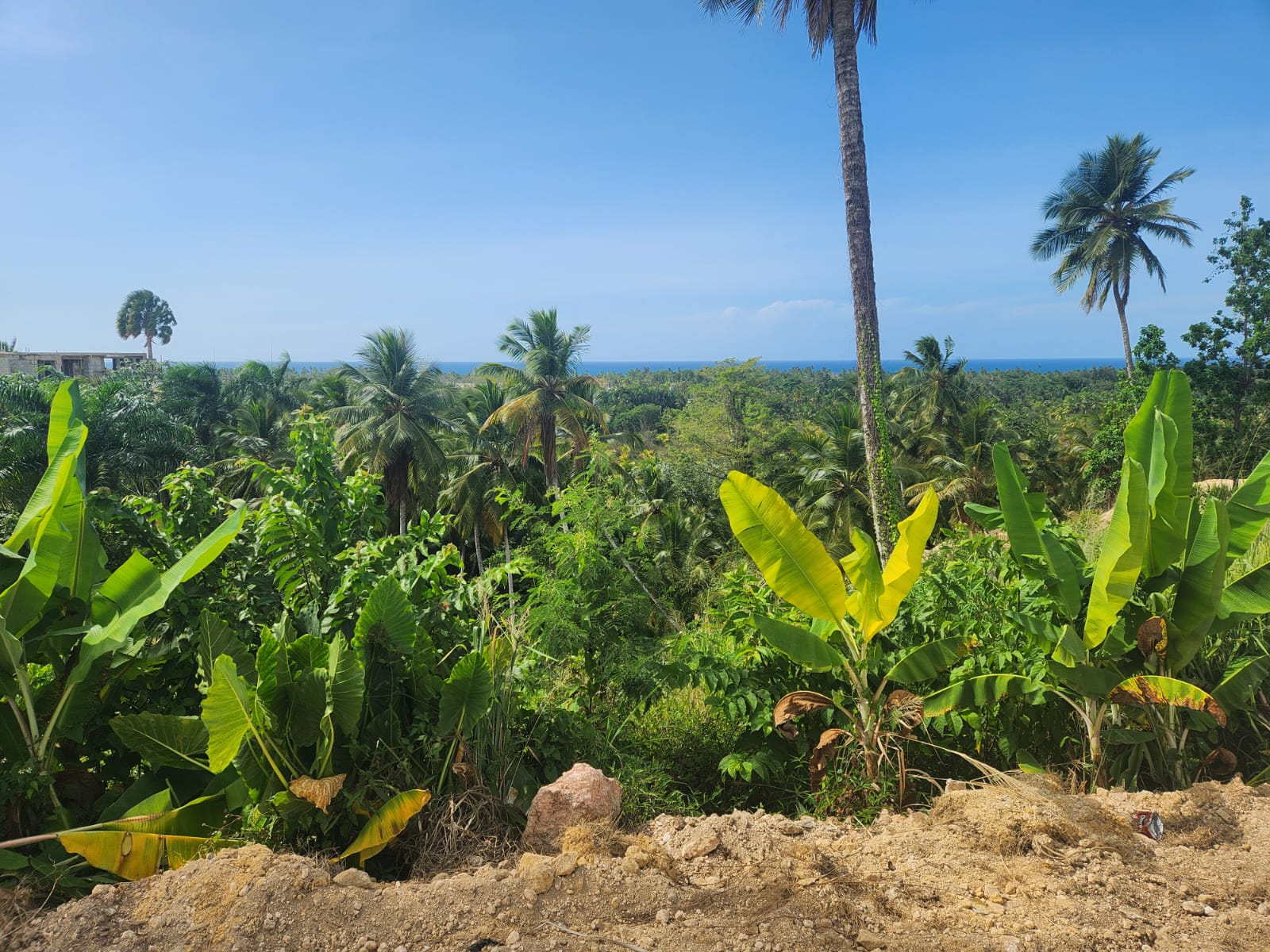 Réf: VT250625 LAND FOR SALE ON THE LOMA PORTILLO OCEAN VIEW