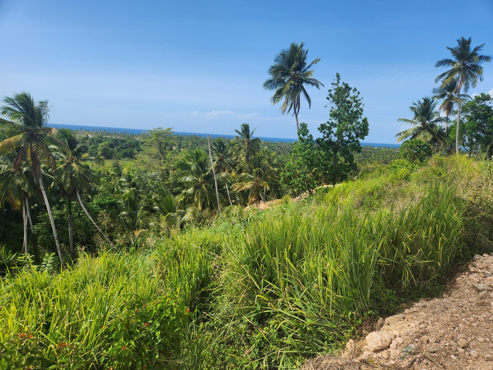 Réf: VT250625 LAND FOR SALE ON THE LOMA PORTILLO OCEAN VIEW