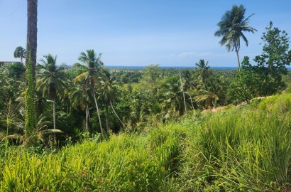 Réf: VT250625 LAND FOR SALE ON THE LOMA PORTILLO OCEAN VIEW