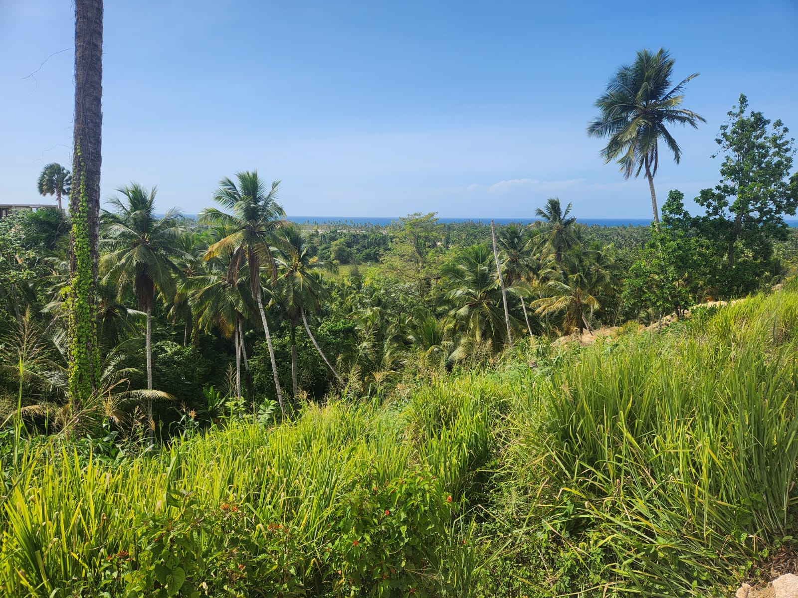 Réf: VT250625 LAND FOR SALE ON THE LOMA PORTILLO OCEAN VIEW